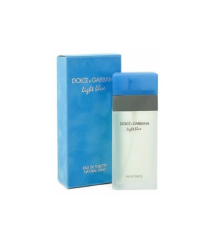 dolce and gabbana light blue 100ml cheapest price